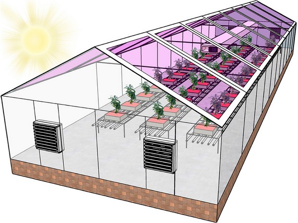 Next generation of greenhouses may be fully solar powered