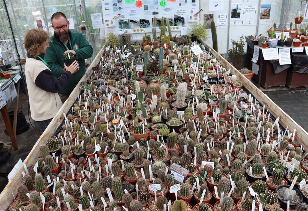 Askham Bryan College to Open New Cactus and Succulent Feature