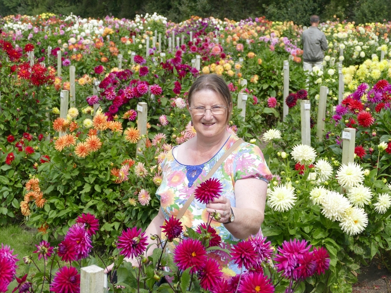 Bulbs For Summer And Autumn Colour