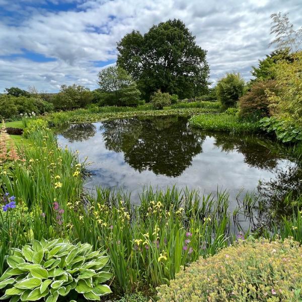 Felley Priory pond